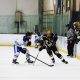Two hockey players in mid-action on an ice rink, one in a blue jersey and the other in a