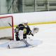 Hockey goalie in net, ready for action.
